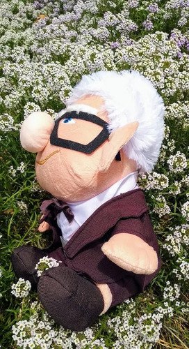 Carl Fredricksen Peluche Abuelito Up Grande 30 Cm Mundocute