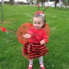 D_685471-MCO43735055098_102020-O.jpg Disfraz Accesorios Mariquita O Abejita Niña De 1 A 6 Años Rojo Única 1 A 7 Años