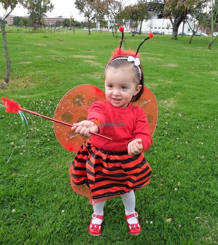 D_685471-MCO43735055098_102020-O.jpg Disfraz Accesorios Mariquita O Abejita Niña De 1 A 6 Años Rojo Única 1 A 7 Años
