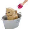 Barbie Family Baño De Mascotas Muñeca Para Niñas