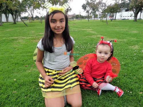 D_754305-MCO43735055100_102020-O.jpg Disfraz Accesorios Mariquita O Abejita Niña De 1 A 6 Años Rojo Única 1 A 7 Años