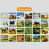 D_782664-MCO80621833180_112024-O.jpg Set Proyector De Animales Para Niños Proyector De Sombras