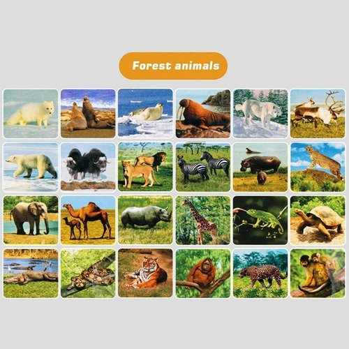 D_782664-MCO80621833180_112024-O.jpg Set Proyector De Animales Para Niños Proyector De Sombras