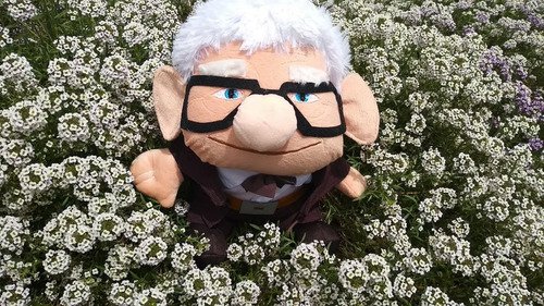 Carl Fredricksen Peluche Abuelito Up Grande 30 Cm Mundocute