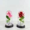 Rosas Led En Cupula - Iluminación Decorativa 110v