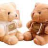 D_860933-MCO82424688661_022025-O.jpg Oso Love 20 Cm | Peluche Tierno Para Regalo Blanco