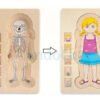 D_877766-MCO45540854023_042021-O.jpg Rompecabezas Cuerpo Humano Madera Juguete Aprendizaje