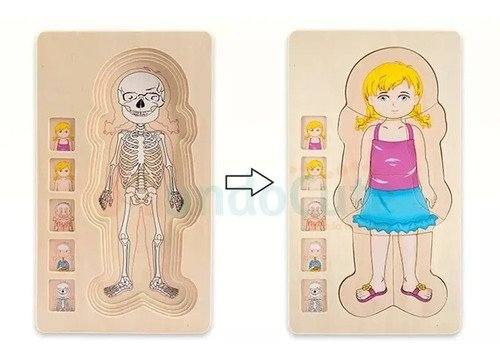 D_877766-MCO45540854023_042021-O.jpg Rompecabezas Cuerpo Humano Madera Juguete Aprendizaje