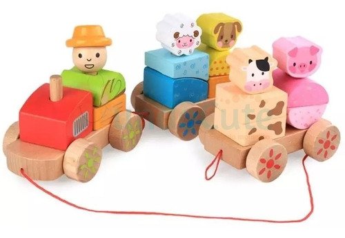 Tren Didáctico De La Granja