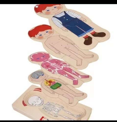 D_907019-MCO74219918467_012024-O.jpg 2 Rompecabezas De Vestir Juego Anatomía Madera Montessori