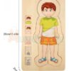 D_944192-MCO45540808719_042021-O.jpg Rompecabezas Cuerpo Humano Madera Juguete Aprendizaje