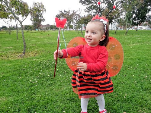 D_966441-MCO43735054111_102020-O.jpg Disfraz Accesorios Mariquita O Abejita Niña De 1 A 6 Años Rojo Única 1 A 7 Años