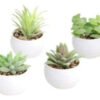 D_966968-MCO82334553700_022025-O.jpg Decoracion Suculentas Mini X 3 Unidades Regalo Mujer Flores Blanco