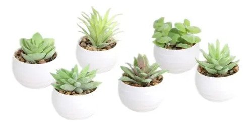 D_966968-MCO82334553700_022025-O.jpg Decoracion Suculentas Mini X 3 Unidades Regalo Mujer Flores Blanco