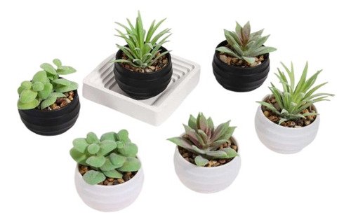 D_984312-MCO82619292081_022025-O.jpg Decoracion Suculentas Mini X 3 Unidades Regalo Mujer Flores Blanco